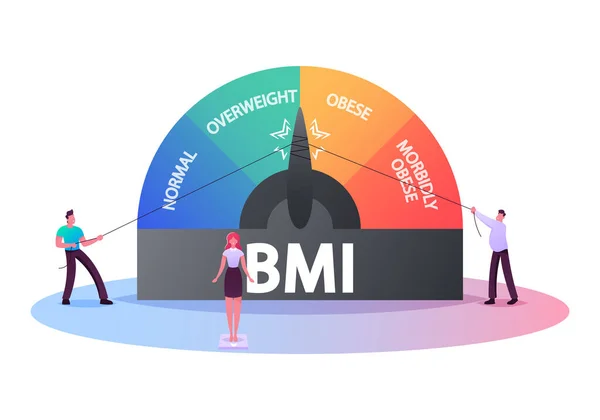 Fett och smal människor Fetma viktkontroll, Body Mass Index Concept. Små tecken på enorm skala med fetma grader från normal, övervikt till extremt sjukligt fetma. Tecknad vektor Illustration — Stock vektor