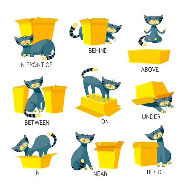 Angielskie przyimki Place Visual Aid dla dzieci. Cute Cat Character w różnych pozach gra z pudełka kartonowego. Studiowanie koncepcji języka obcego. Izolowana ilustracja wektora kreskówki, zestaw — Wektor stockowy
