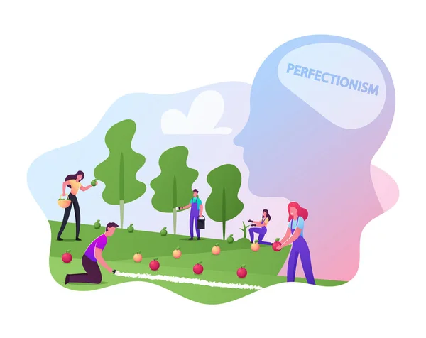Perfectionisme, mannelijke of vrouwelijke tuinman personages Zet appels in een even rij verzamelen en sorteren op kleuren en maten — Stockvector