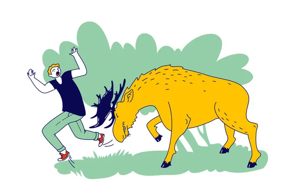 Caracter escapando de Angry Horned Moose. Hombre atacado con animales salvajes. Peligro durante el viaje por el bosque y la naturaleza — Archivo Imágenes Vectoriales