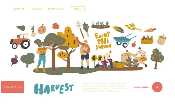 Farmer Characters Work on Garden atau Orchard Harvesting Crop Landing Page Template (dalam bahasa Inggris). Tanaman Mengumpulkan Buah dan Sayuran - Stok Vektor