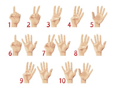 Parmak Sayımı, 1 'den 10' a kadar El Gösterme Sayıları. Eğitim, avuç içi jestleri ya da geri sayım kavramı. Anaokulu Matematiği