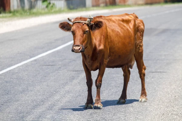 Otobüsüm için bekliyorum