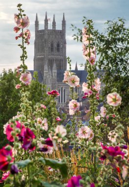 Güzel pembe ve morumsu bitki örtüsü, 1651 'de İngiliz İç Savaşı' nın sonunda Worcester Muharebesi 'nin huzurlu tepe ve bakış açısında gün batımı..