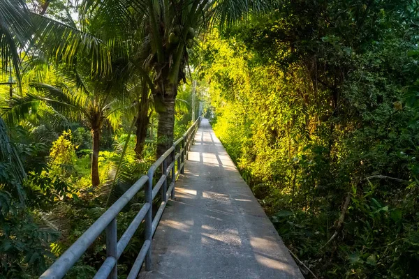 Bangkok 'un gelişmemiş çevre dostu bir bölgesi. Şehrin geri kalanıyla çelişen modern yapılar yok. Ama birçok yol, vahşi yaşam, mangrov, kanallar, tarım alanları ve ormanlık alanlar var..