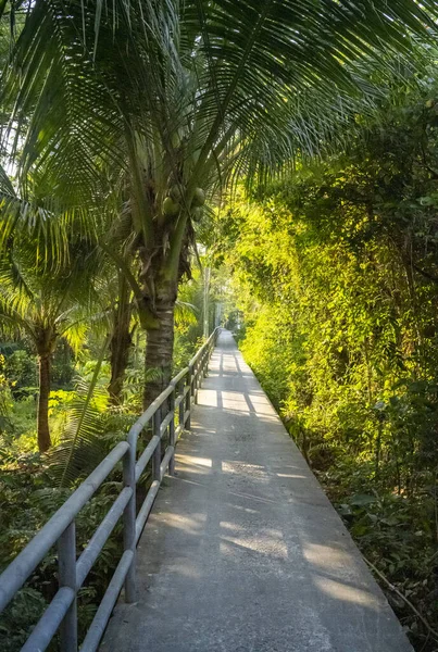 Somut yollar, birbirine bağlı ağlardan biri, Bangkok 'un bu eşsiz, biyolojik çeşitlilikteki bölgesinde, kanalları, tarlaları, tarlaları ve yemyeşil tropikal bitkileri olan evler..