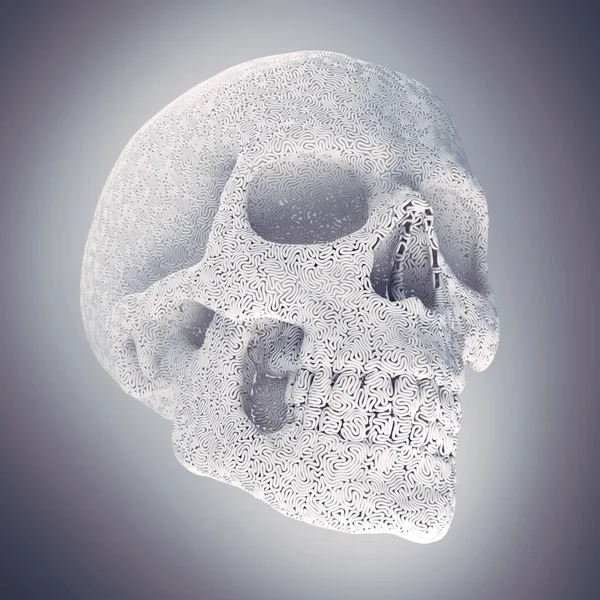 コンピュータは、薄い霧に囲まれた抽象的な白いプラスチック製のワイヤー頭蓋骨を生成した。幾何学的モダンパターン。3d レンダリング — ストック写真