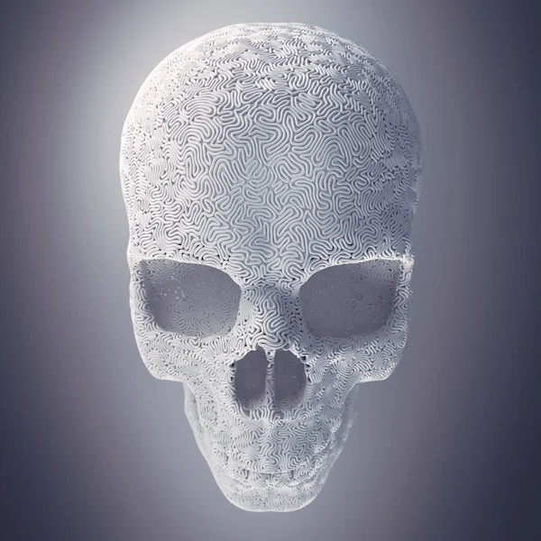 Computadora generada abstracta calavera de alambre de plástico blanco rodeado de niebla ligera. Patrón geométrico moderno. renderizado 3d — Foto de Stock