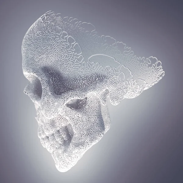 コンピュータは、薄い霧に囲まれた抽象的な白いプラスチック製のワイヤー頭蓋骨を生成した。幾何学的モダンパターン。3d レンダリング — ストック写真