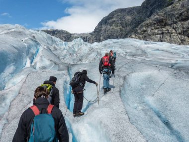 Nigardsbreen Buzulu Sogn Fjordane - Norveç