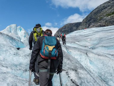 Nigardsbreen Buzulu Sogn Fjordane - Norveç