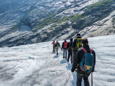 Nigardsbreen Buzulu Sogn Fjordane - Norveç