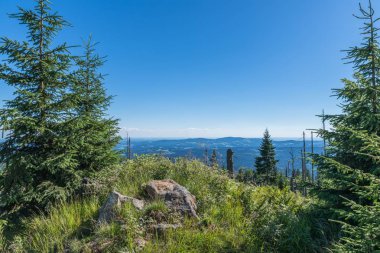 Bavarian Forest, Almanya büyük Rachel dağda manzara