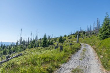 Bavarian Forest, Almanya büyük Rachel dağda manzara
