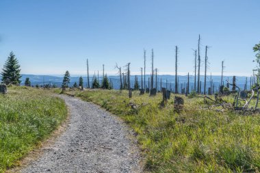 Bavarian Forest, Almanya büyük Rachel dağda manzara