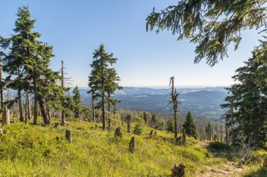 Bavarian Forest, Almanya büyük Rachel dağda manzara