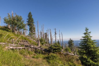 Bavarian Forest, Almanya büyük Rachel dağda manzara