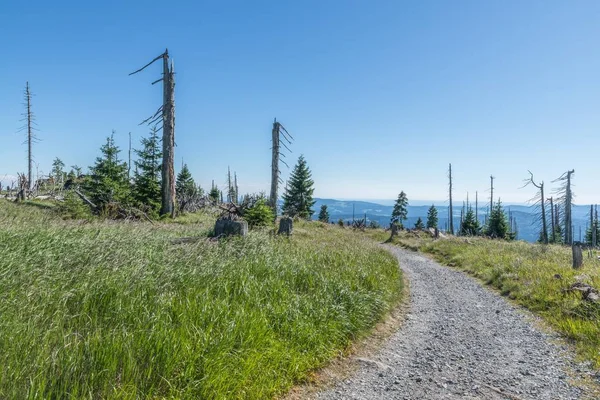 Bavarian Forest, Almanya büyük Rachel dağda manzara