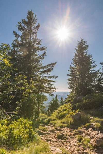 Landscape on the mountain of great Rachel in the Bavarian Forest, Germany