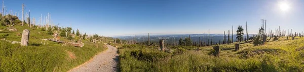 Панорама 180 Градусов Горе Groe Рахиль Баварском Лесу Германия — стоковое фото