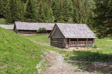 Alp Natur kulübelerde park Riedingtal Zederhaus, Avusturya