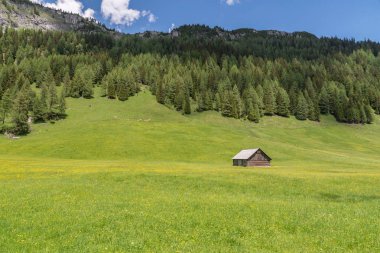 Alp Natur kulübelerde park Riedingtal Zederhaus, Avusturya