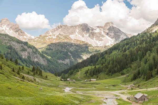 Riedingtal Zederhaus Park Przyrody Widokiem Góry Austria — Zdjęcie stockowe