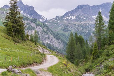 Manzara Natur Park Riedingtal Zederhaus, Avusturya