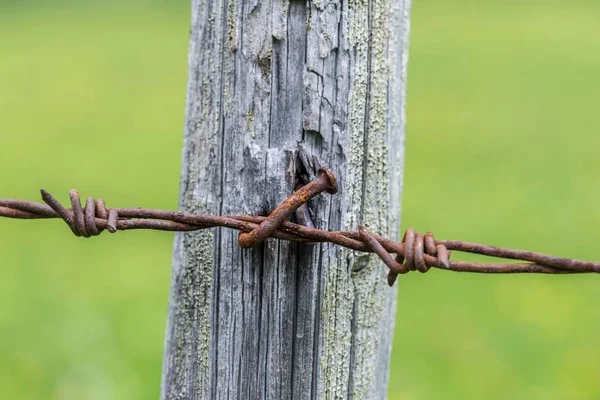 rusty barbed wire