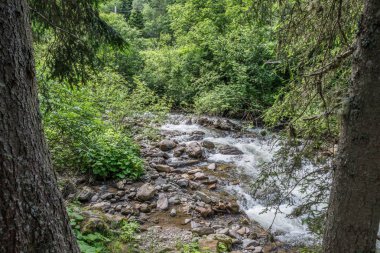 Thomatal 'daki dağ deresi - Bundschuh, Avusturya