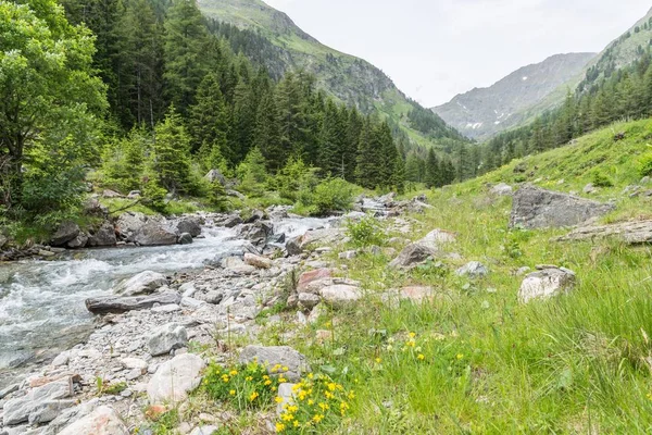 Creek Goeriachtal Lungau Austria — Zdjęcie stockowe