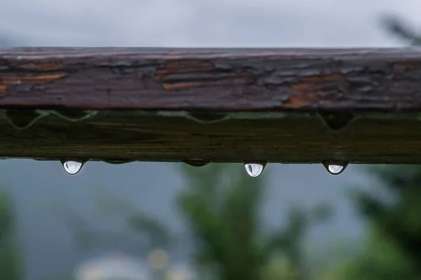 Gotas Chuva Penduradas Pedaço Madeira Depois Uma Chuva Verão — Fotografia de Stock