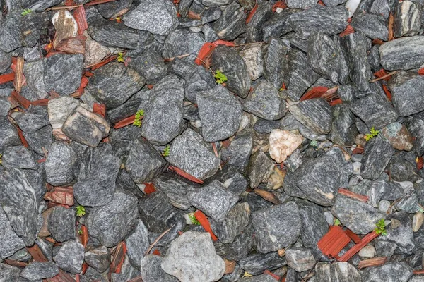 Wet Granite Stones Summer Rain — Stock Photo, Image