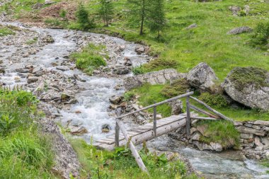 Griachtal Doğa Parkı, Avusturya'da bir dağ dere üzerinde ahşap köprü