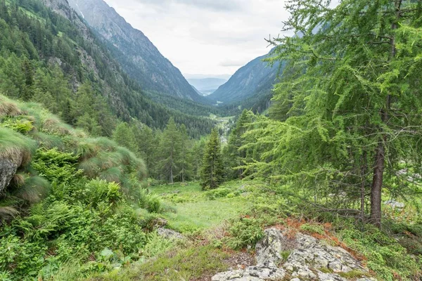 Landschaft Des Naturparks Goeriachtal Österreich — Stockfoto