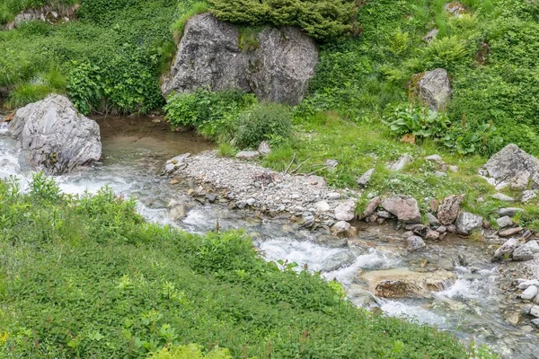 Hegyi Patak Griachtal Parkban Ausztria — Stock Fotó