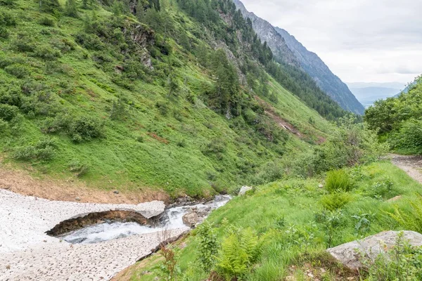 Remains of the ice cover and snow cover over a mountain stream in summer, Austria