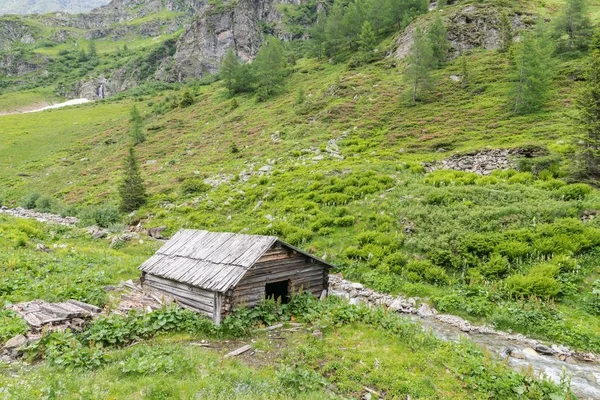 Хижина Одинокого Вудена Горном Ручье Австрии — стоковое фото