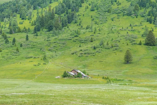 Одинокая Деревянная Хижина Долине Австрии — стоковое фото
