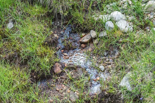 Bio Filmu Przez Nagromadzenie Mikroorganizmy Powierzchni Wody Austria — Zdjęcie stockowe