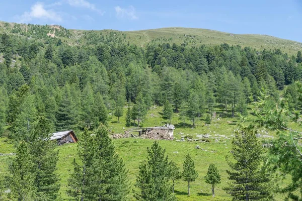Μοναχικό Ξύλινη Καλύβα Μια Κοιλάδα Στην Αυστρία — Φωτογραφία Αρχείου