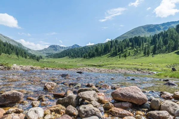 Arroyo Montaña Las Montañas Nockberge Lungau Austria — Foto de Stock