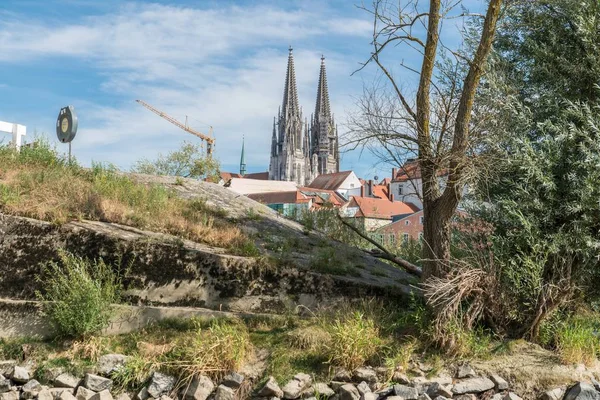 Baixo Nível Água Danúbio Com Vista Para Catedral Regensburg Alemanha — Fotografia de Stock