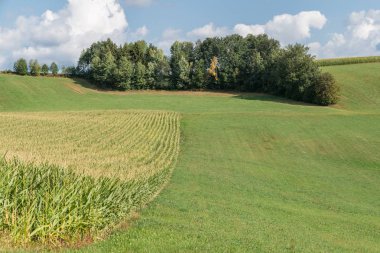 Mısır alan ve çayır Bavarian Forest, Almanya için