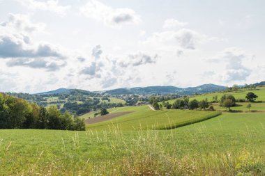Mısır alan ve çayır Bavarian Forest, Almanya için