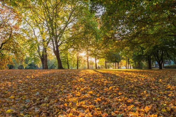 Laatste Zonnestralen Herfst Regensburg Duitsland — Stockfoto