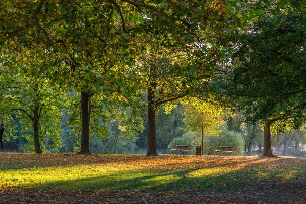 Laatste Zonnestralen Herfst Regensburg Duitsland — Stockfoto