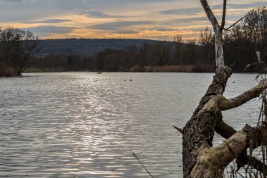 Bir bina gövdesi ve sazlık ile bir kış günbatımı sırasında bir gölün kıyısı, Almanya