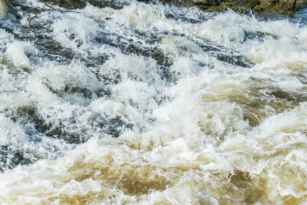 Flod Vid Högvatten Våren Tyskland — Stockfoto