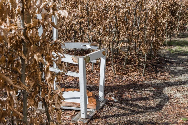 Uma Cadeira Branca Quebrada Jardim Labirinto Alemanha — Fotografia de Stock